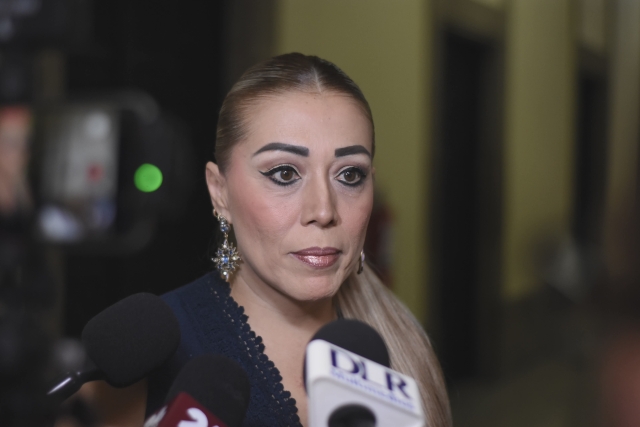 Sostiene titular de CEARV que no renunciar&aacute; al cargo ante se&ntilde;alamientos por presuntas irregularidades