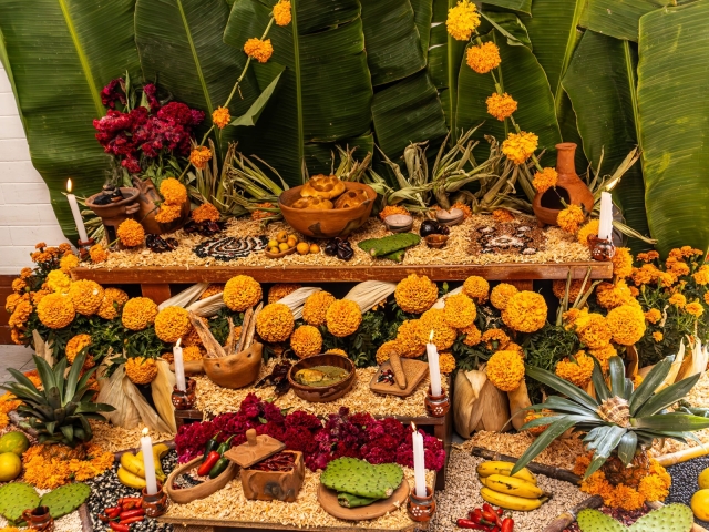 Invita Sedagro a integrar en ofrendas productos del campo morelense