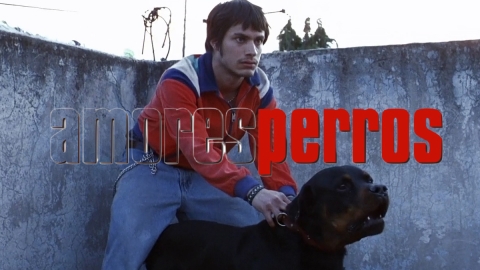 ‘Amores Perros’ regresa a Cannes: 25 años después, el clásico de Iñárritu vuelve restaurado al festival que lo lanzó al mundo