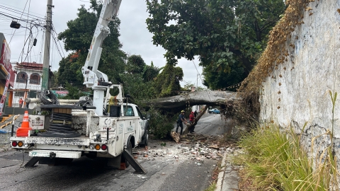Cierre en avenida Atlacomulco tras caída de árbol