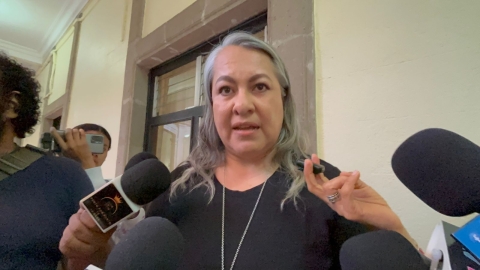 Ignoradas, recomendaciones de CDHM en materia de penales durante sexenio de Cuauht&eacute;moc Blanco: Carranco Lechuga