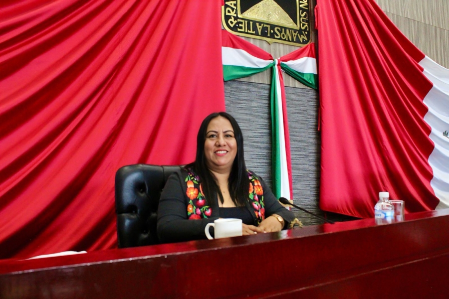 Diputada Jazmín Solano López presenta iniciativa para reformar el 'Día estatal del contador público'