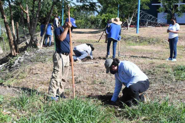 En la plantación participó personal de diversas áreas municipales.