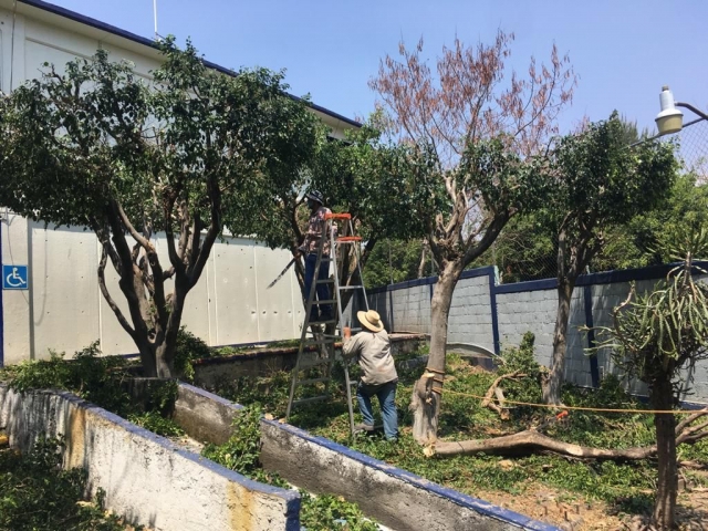 Participa Ayuntamiento de Jiutepec en mantenimiento de escuelas