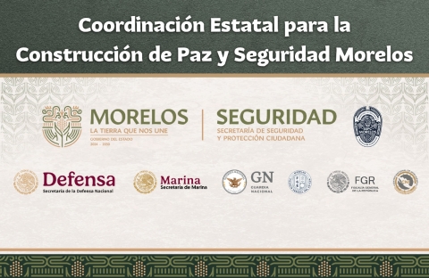 Llevan a cabo operativo interinstitucional conjunto en Totolapan