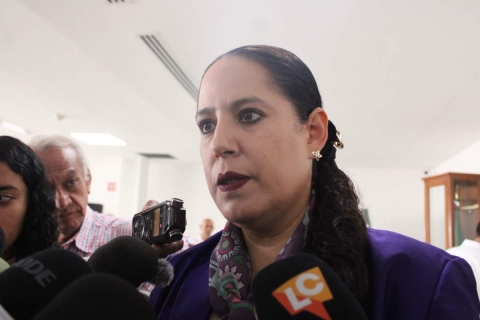 Realizarán limpieza en escuelas para combatir el dengue