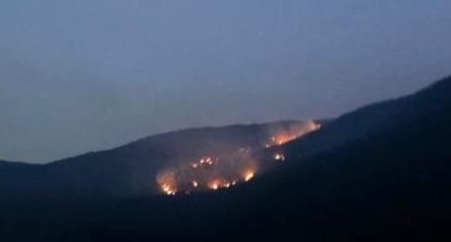 Se desconoce cuántas hectáreas resultaron afectadas por el fuego.