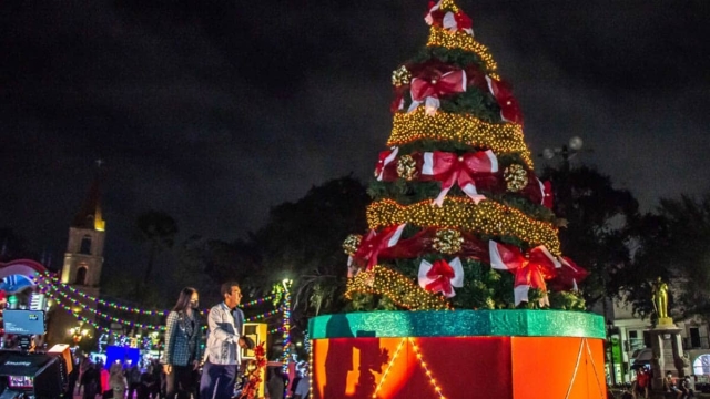 Alcalde prende árbol de Navidad y se electrocuta.