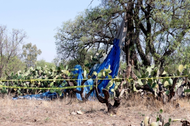 Piloto de globo incendiado en Teotihuacán es vinculado a proceso