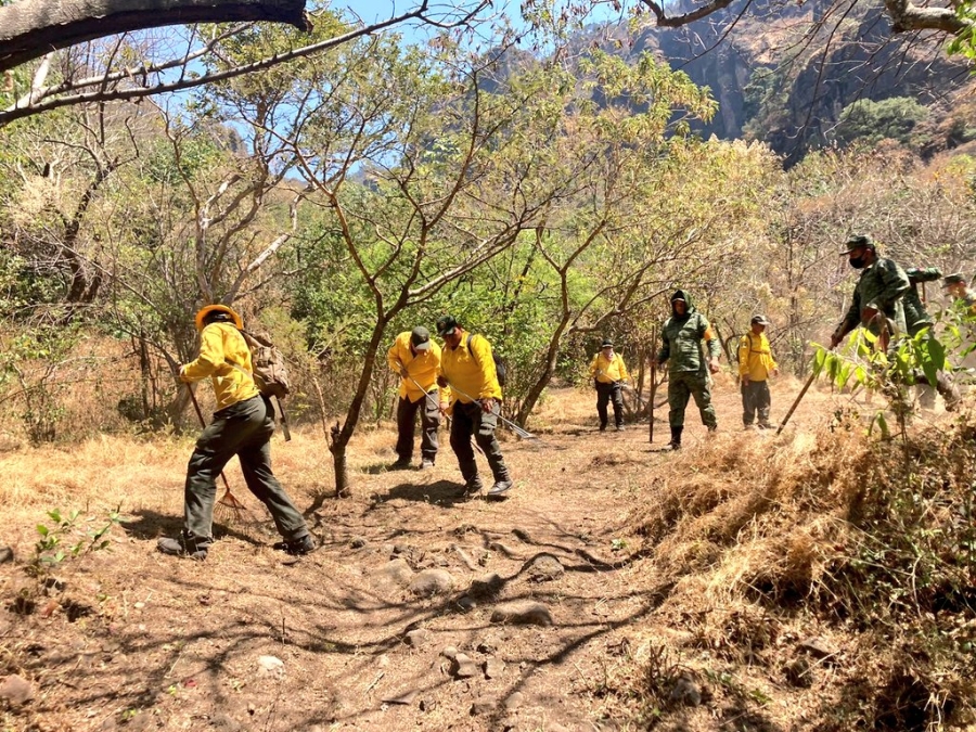 Afectación preliminar estimada de 105 hectáreas por incendio forestal en Tepoztlán