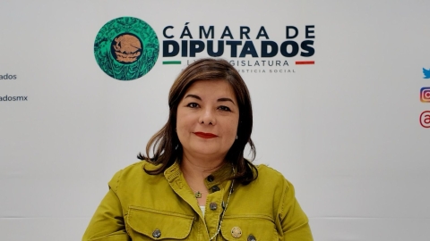 Presenta diputada federal Meggie Salgado reforma a Ley General de los Derechos de Niñas, Niños y Adolescentes