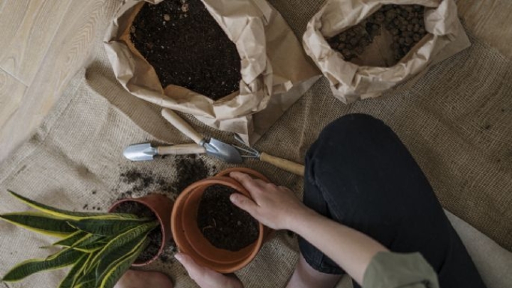 Prepara tu propia tierra negra para nutrir y darle vida a los cultivos de tu huerto casero