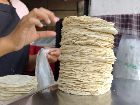 Precio de la tortilla se mantendr&iacute;a hasta mayo 