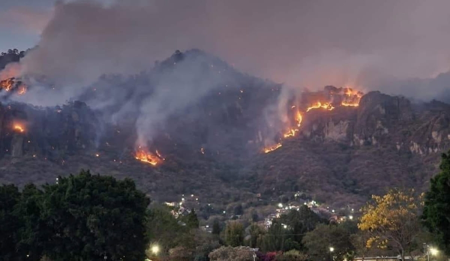 Profepa confirma denuncia contra presunto responsable de incendio forestal