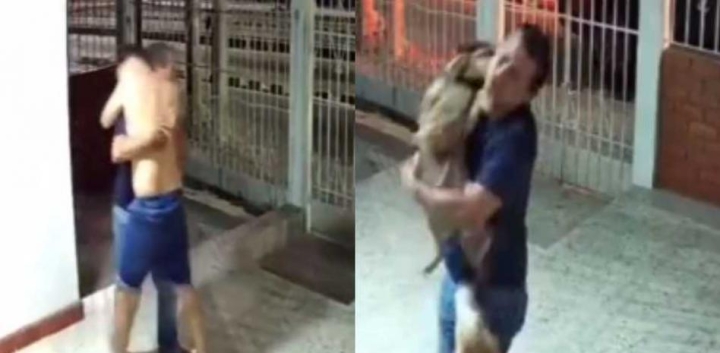 Perrito extraviado se reencuentra con su familia