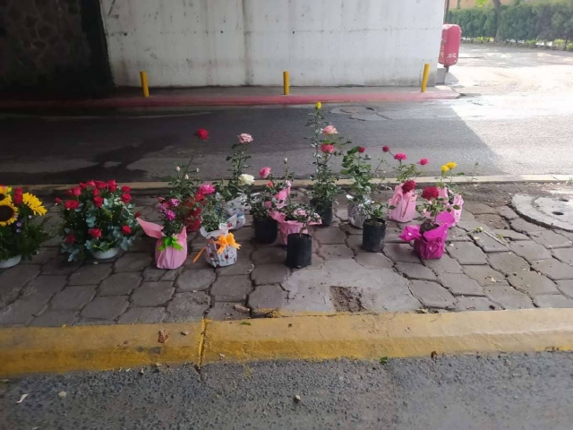 “Todos quieren regalar flores a su mamá”