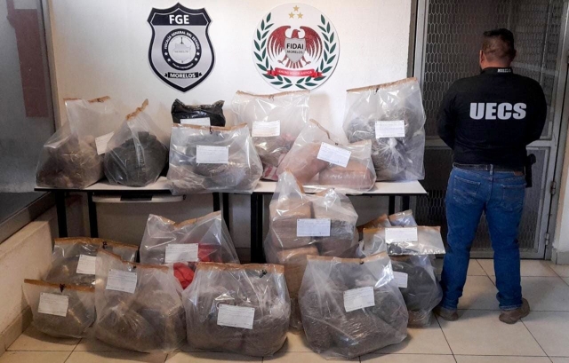 UECS asegura cerca de 200 kg de marihuana en Ocuituco