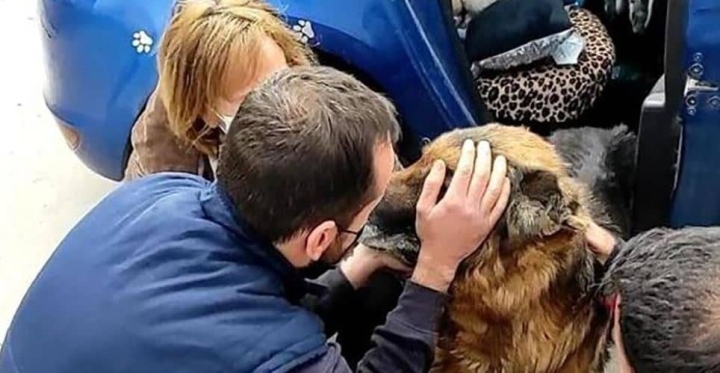 Se reencuentran con su perrito perdido luego de siete años