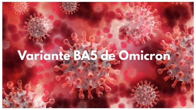 Variante BA4 y BA5 de Omicron evade las vacunas; especialistas temen en sexta ola de COVID