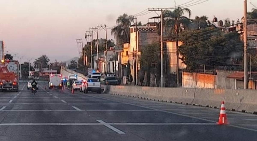 El hallazgo fue realizado por automovilistas que circulaban por la zona.