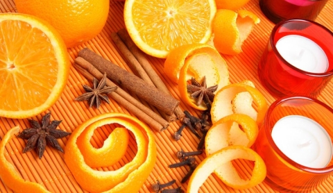  Ecolog&iacute;a Verde