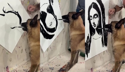 ‘Lomito DaVinci’: el perro que pinta a la virgen y conquista instagram