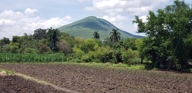 Los productores confían en que las lluvias se mantendrán.