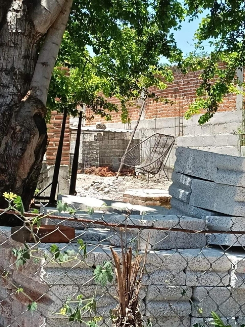 Los pollos se encuentran en condiciones inadecuadas.