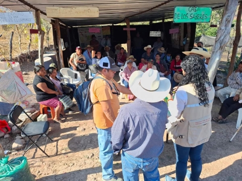 Buscan prevenir gusano barrenador en comunidades rurales de Amacuzac