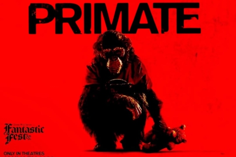 &#039;Primate&#039;: el terror tiene nueva cara con un chimpancé fuera de control