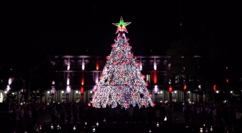 Encabeza gobernadora Margarita Gonz&aacute;lez Saravia encendido del &aacute;rbol navide&ntilde;o en Cuernavaca