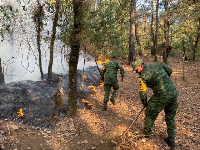 Aplican Plan DN-III-E para sofocar incendio forestal en Huitzilac