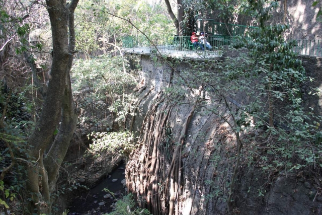 Imputarán a cuatro exfuncionarios por colapso de puente colgante