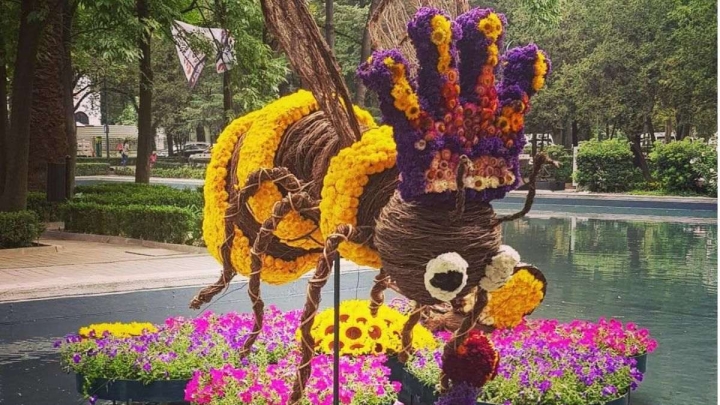 El Festival Flores y Jardines regresa a Polanco: Fechas, sede y detalles de la edición 2022