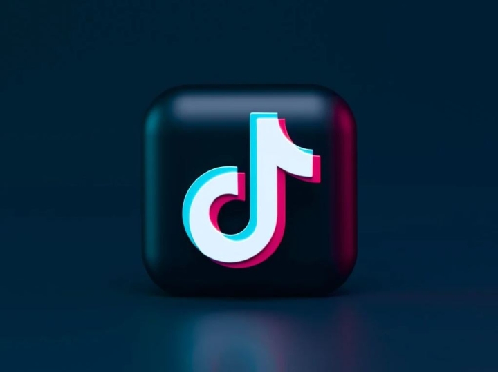 Estas fueron las tendencias que la rompieron en TikTok durante 2021