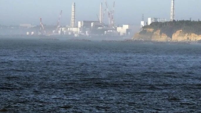 China prohíbe pescado de Japón por descarga de agua radiactiva de Fukushima