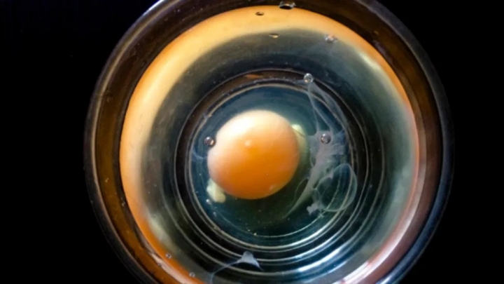 ¿Cómo interpretar las imágenes del huevo después de una limpia?