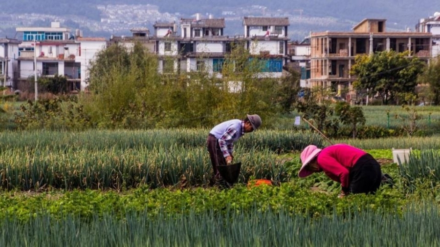 China advierte sobre espionaje extranjero en el sector agrícola