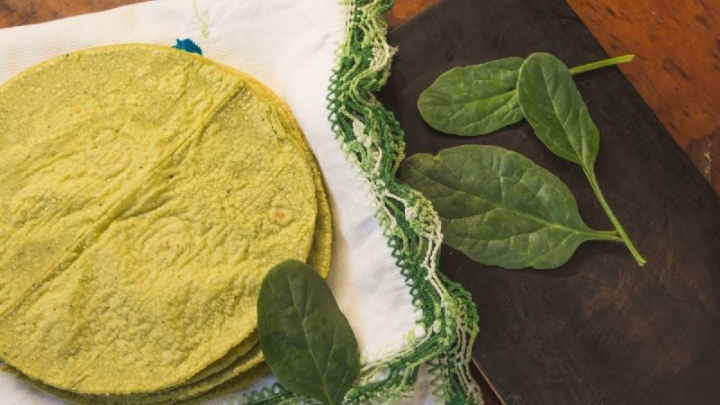 Tortillas de nopal y espinaca, una opción saludable para consumir en la semana