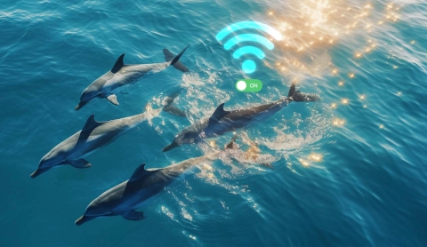 ICARUS: El Futuro de la Investigación Animal con Tecnología Espacial