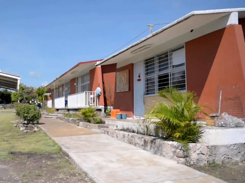 Buscan incluir la materia de nutrición en educación básica