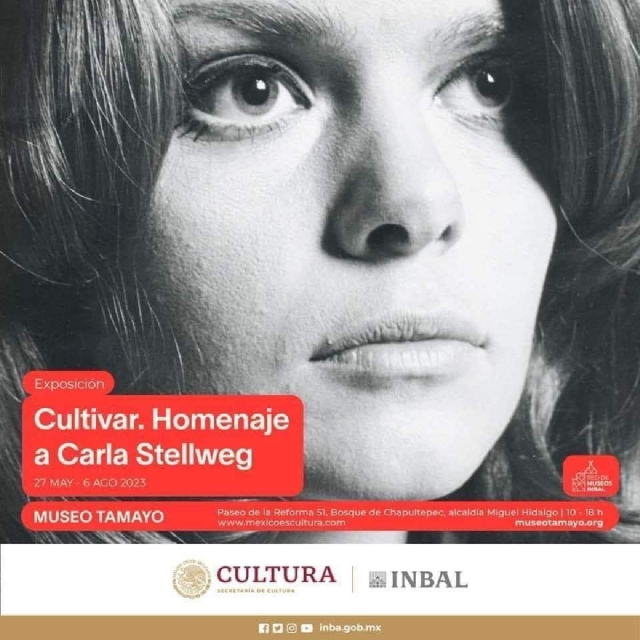 De Bandung al Museo Tamayo: homenaje a Carla Stellweg 