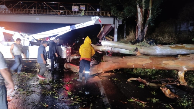 Sin reporte de daños severos tras lluvias, refiere CEPCM