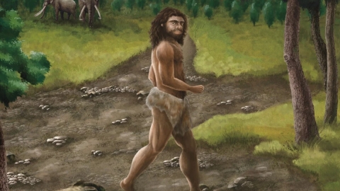 Ilustración de un denisovano caminando en Taiwán.