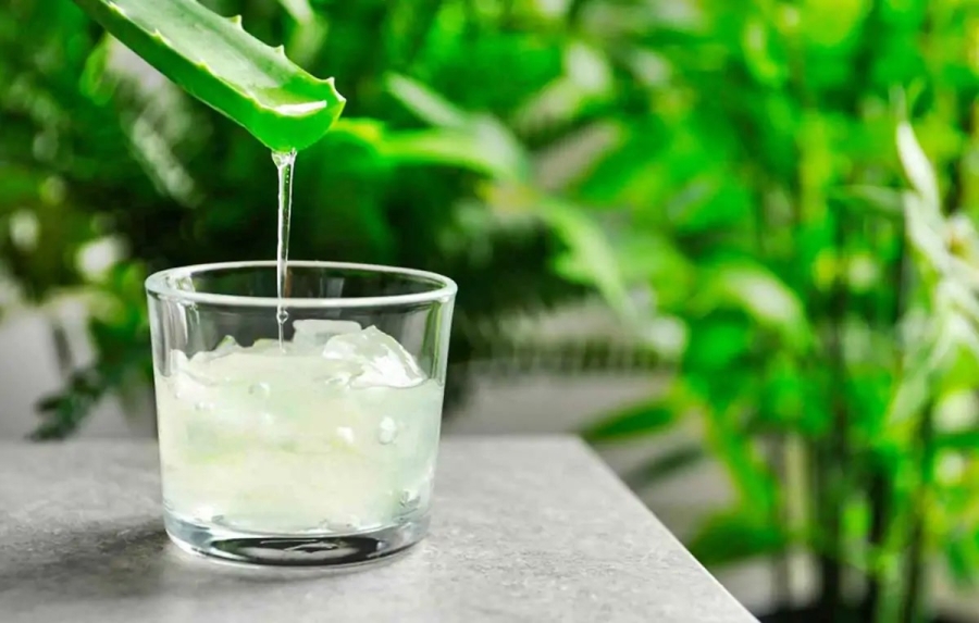 Jugo de aloe vera, la bebida que transformará tu piel y vitalidad
