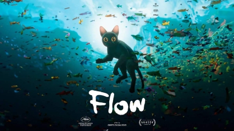 Flow y los Premios Óscar