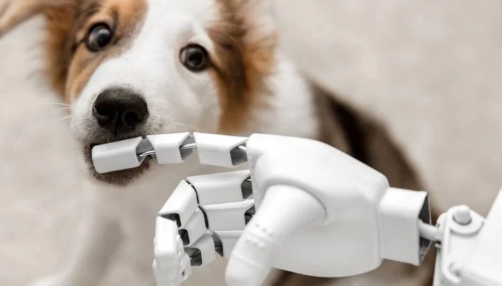 ¿Podemos comunicarnos con los animales usando inteligencia artificial?