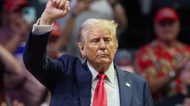 Trump afirma que los cárteles manejan México