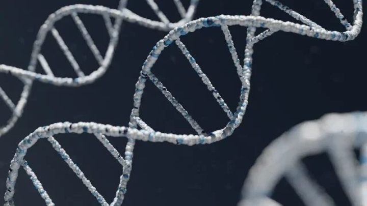 Nueva técnica recupera ADN de mujer por un collar de hace 20,000 años