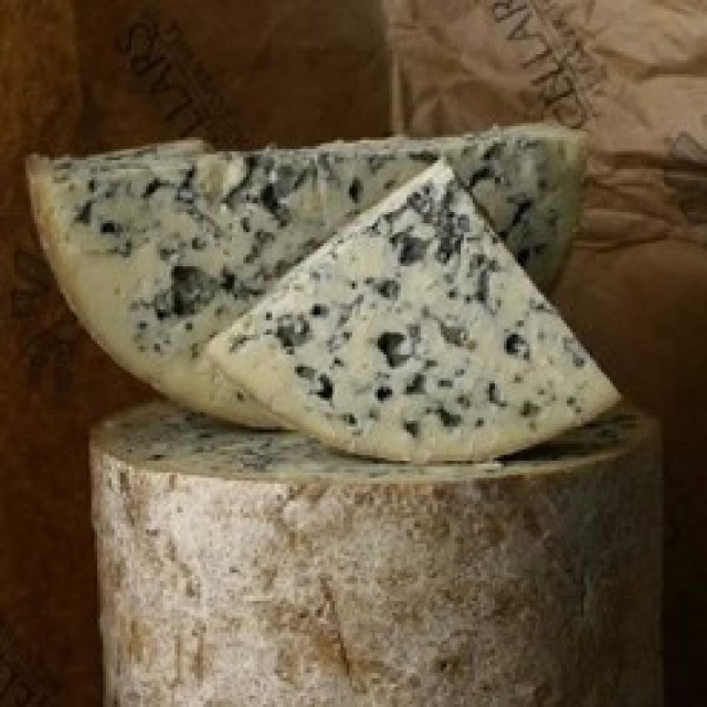 Hongos del queso de cuevas revelan cómo las mutaciones genéticas impulsan un rápido cambio evolutivo